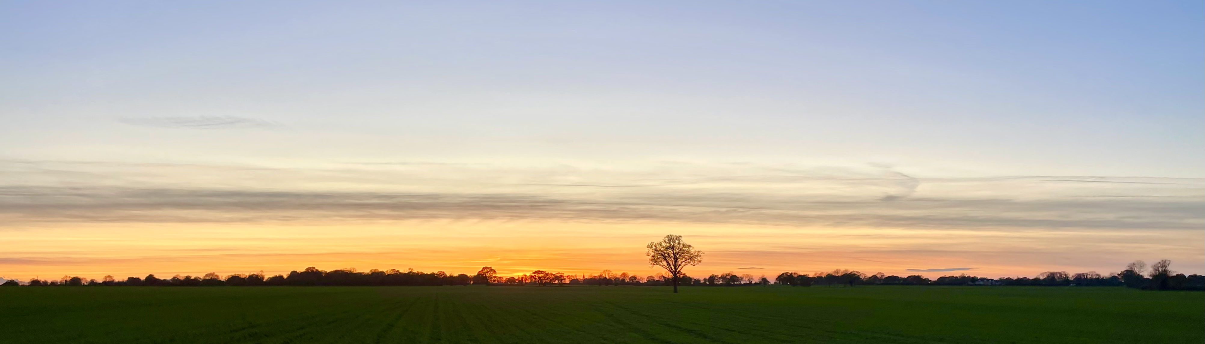 Slide Show  Field Panorama