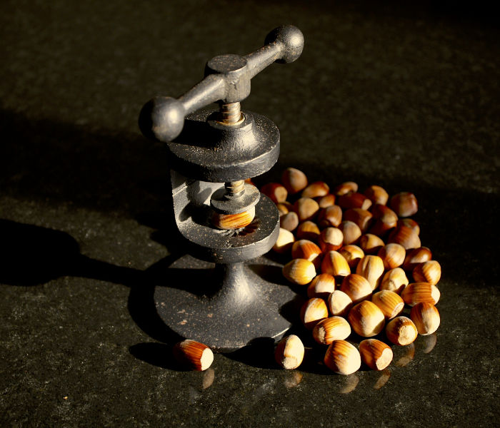 Orchard Header Image orchard nuts