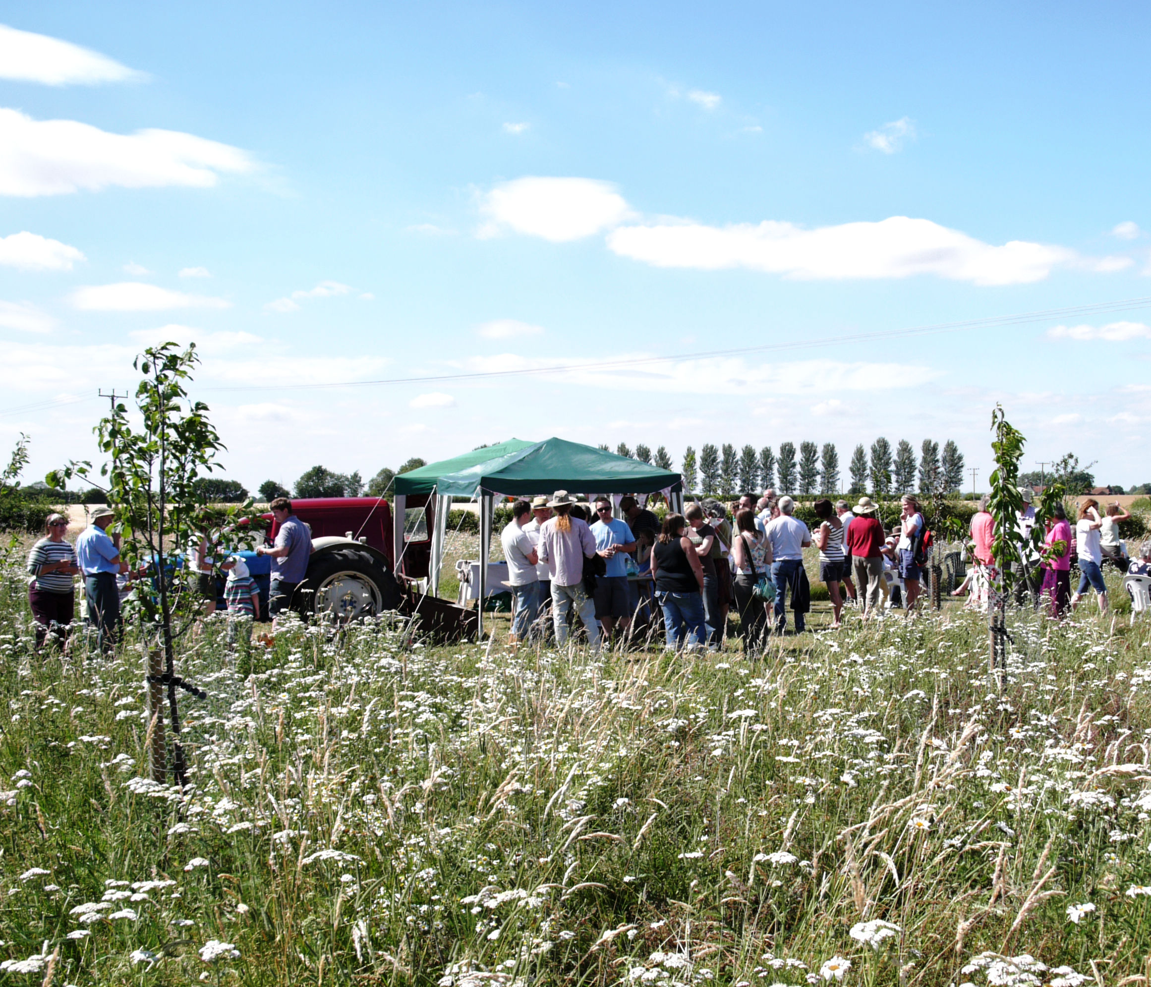 Orchard Header Image orchard party