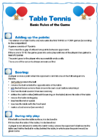 Village Hall Users Document : Design Brief